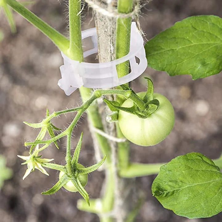 PlantBuddy™ Stängelstabilisatoren für den Garten