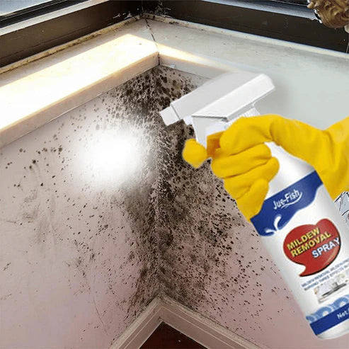 MildewSpray™ – Leistungsstarkes Reinigungsspray zur Schimmelentfernung | 1 + 1 Gratis