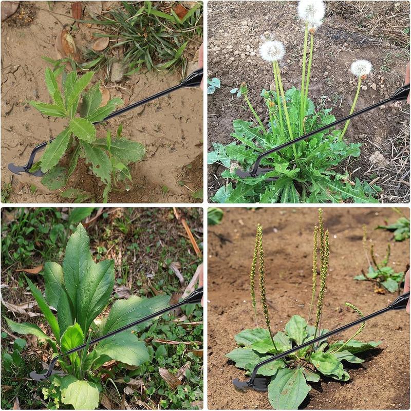50% Rabatt | WeedRack™ - Unkrautentfernungswerkzeug mit 4 Zinken