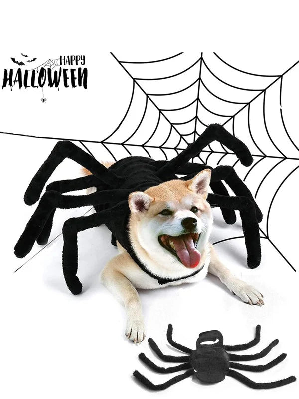 SpiderDog™ Halloween-Hundekostüm Mit Spinne | 50% Rabatt