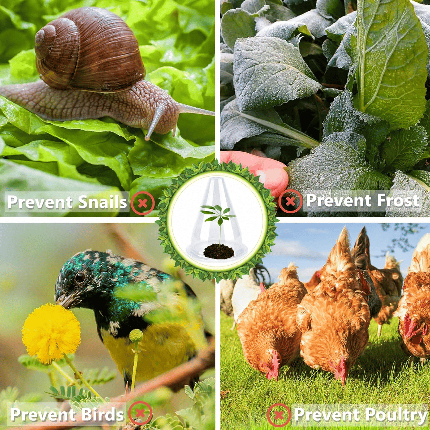 PlantSheild™ - Garten-Gewächshaus-Pflanzenabdeckungen (10 Stück/Set) [5 + 5 Gratis]