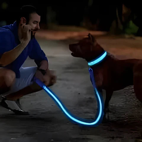 GlowPaw™ – Leuchtendes LED-Hundehalsband für sichere Abendspaziergänge [50% Rabatt]