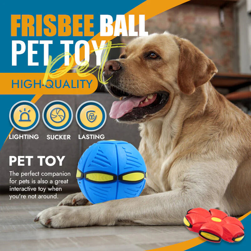 PetToy™ – Verformbarer Flying Saucer Ball | 50% Rabatt