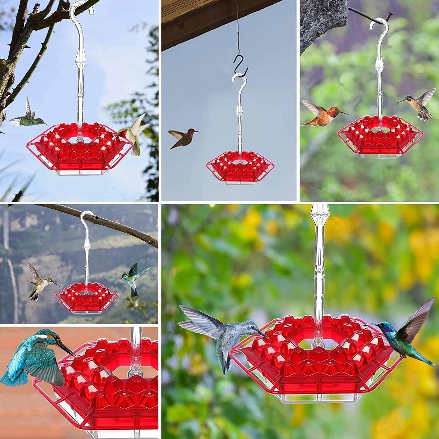 SkySip™ - Charmante hängende Kolibri-Futterstelle für draußen [50% Rabatt]