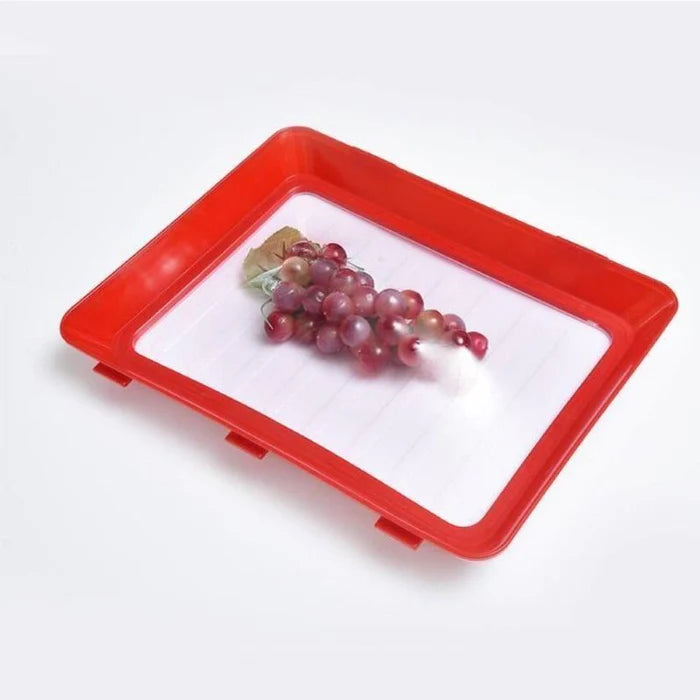 FreshGuard™ – Stapelbares kreatives Tablett zur Lebensmittelkonservierung | 1 + 1 Gratis