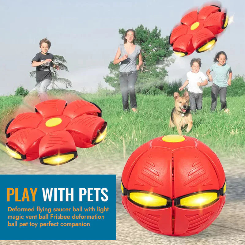 PetToy™ – Verformbarer Flying Saucer Ball | 50% Rabatt