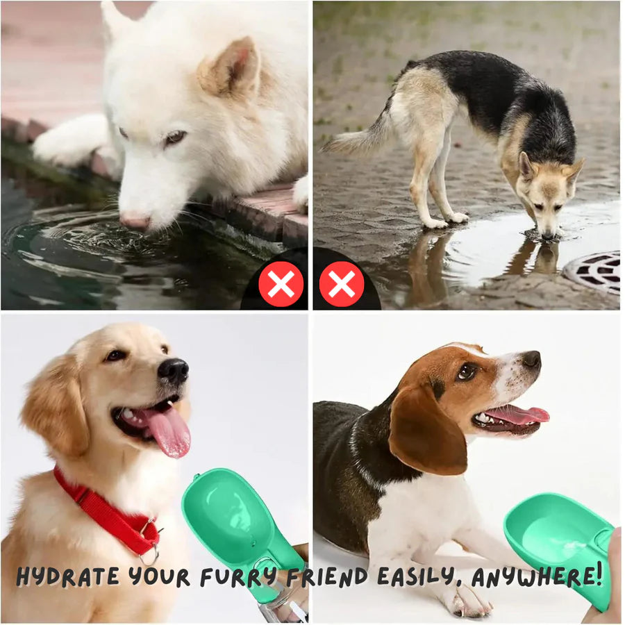 AquaTravel™ – Tragbarer Hundenapf mit Wasserflasche | 50% Rabatt
