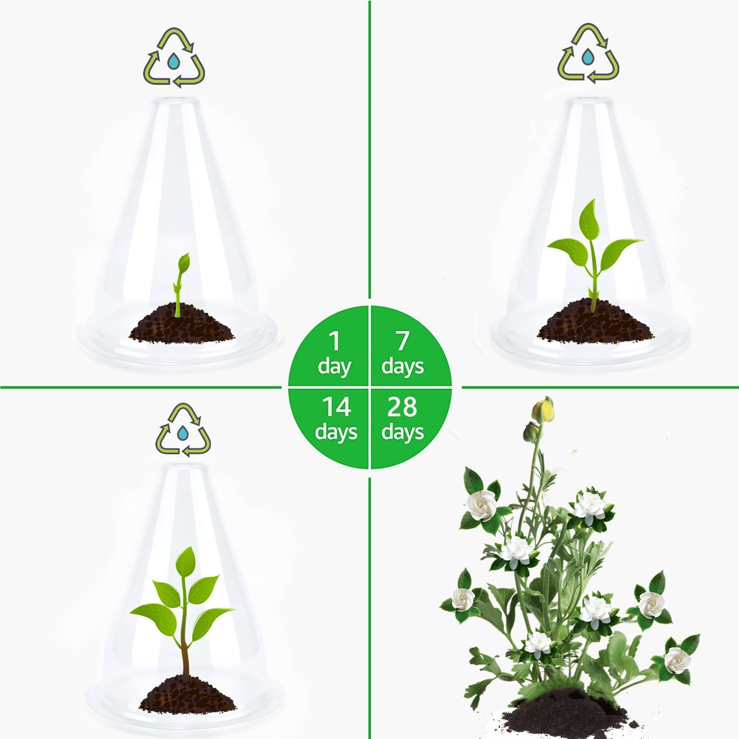 PlantSheild™ - Garten-Gewächshaus-Pflanzenabdeckungen (10 Stück/Set) [5 + 5 Gratis]