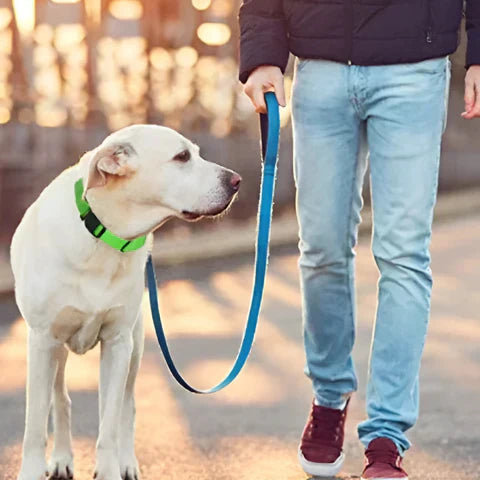 GlowPaw™ – Leuchtendes LED-Hundehalsband für sichere Abendspaziergänge [50% Rabatt]