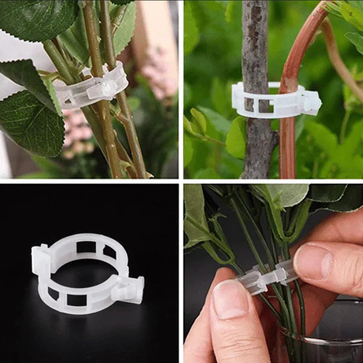 PlantBuddy™ Stängelstabilisatoren für den Garten