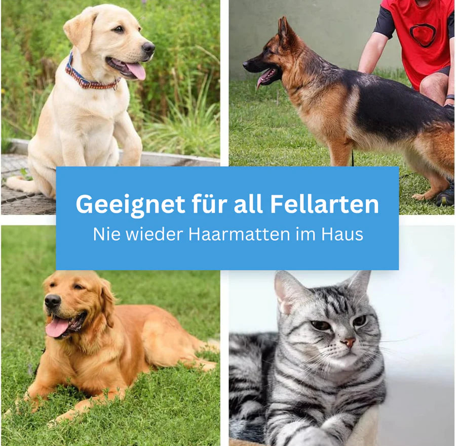 PetClean™ Handlicher Tierhaarentferner