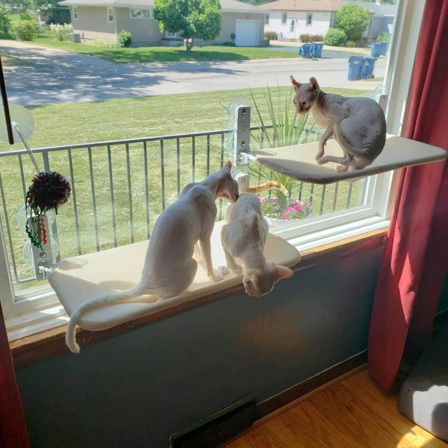 50% Rabatt | WindowSeat™ Supreme Katzen-Hängematte