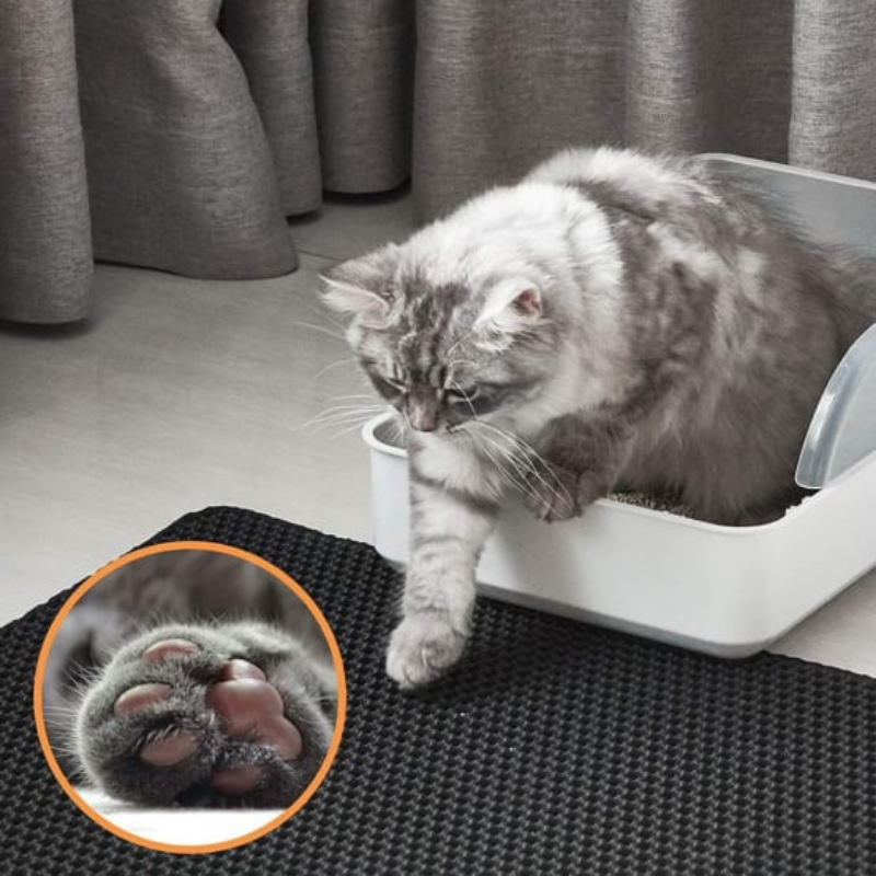 PawGuard™ – Zwei-lagige Katzenstreumatte für saubere und hygienische Böden [50 % Rabatt]