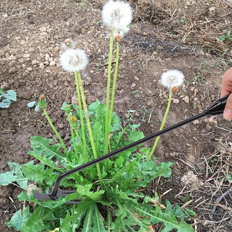 50% Rabatt | WeedRack™ - Unkrautentfernungswerkzeug mit 4 Zinken