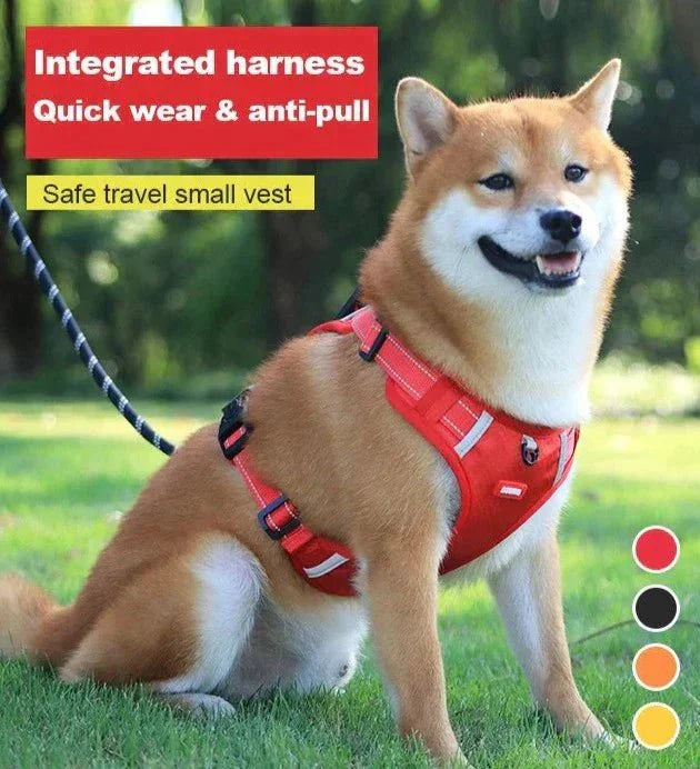 50% Rabatt | DogGrip™ - Führen Sie Ihren Hund sicher spazieren