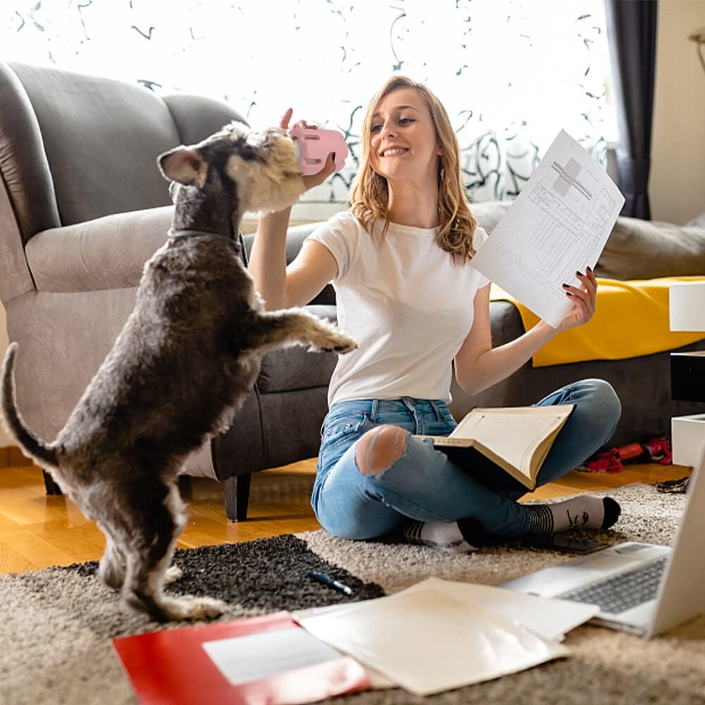 FetchFun™ – Tennis-Hundekauspielzeug für endlosen, aktiven Spielspaß [50% Rabatt]