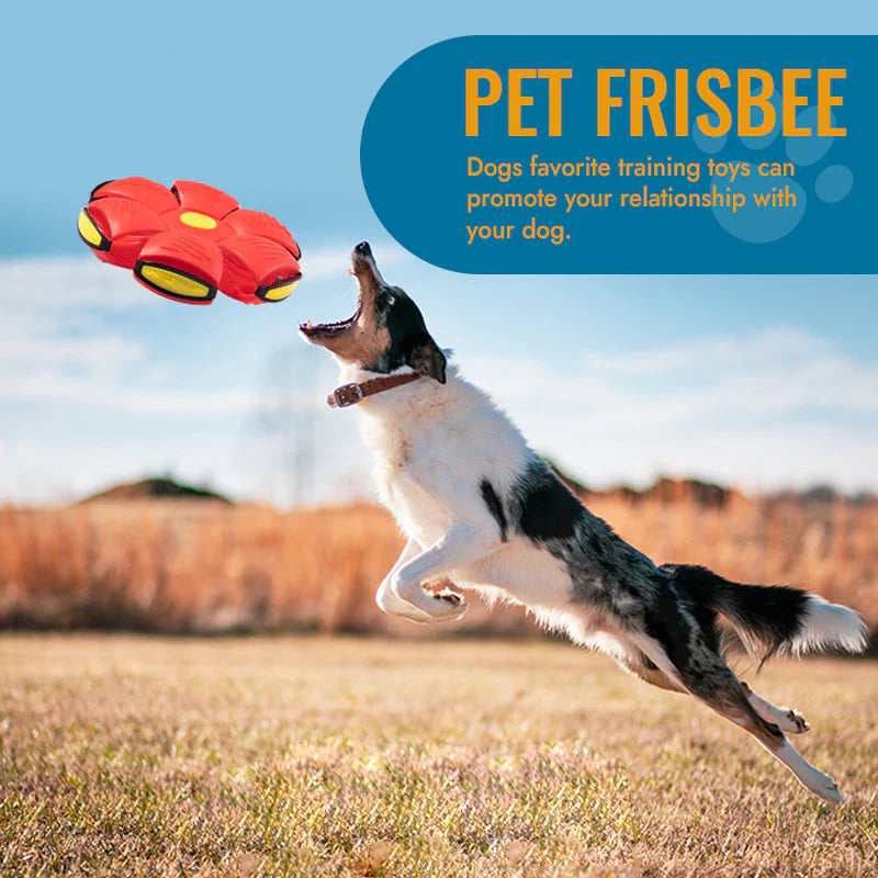 PetToy™ – Verformbarer Flying Saucer Ball | 50% Rabatt