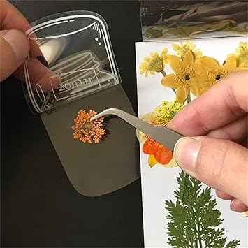 BlossomTabs™ - Perfekt für Buchliebhaber [50% Rabatt]