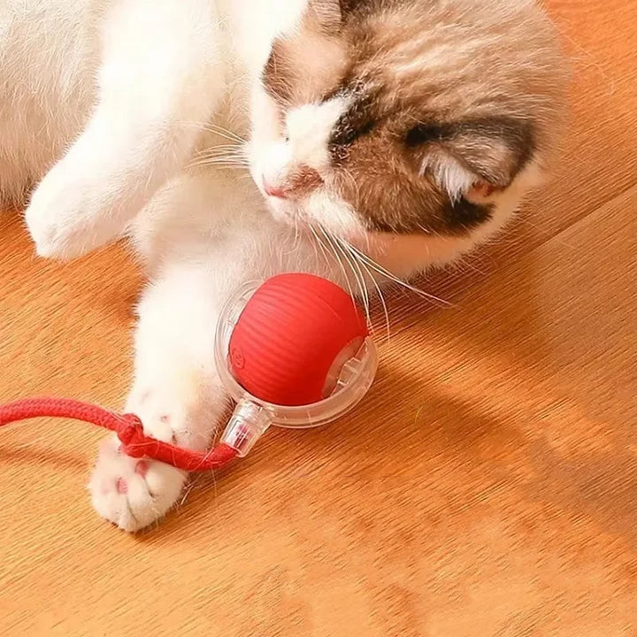 PawPlay™ – Interaktives Katzenspielzeug-Ball für stundenlangen Spielspaß [50% Rabatt]