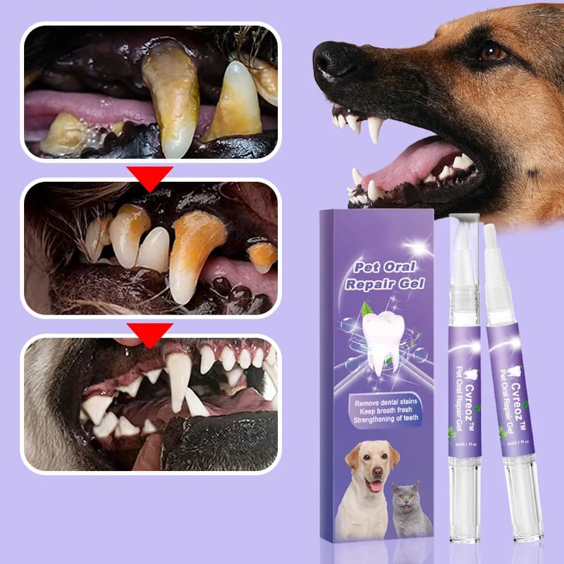 BiteBright™ – Frischer & gesunder Atem für Haustiere [1 + 1 Gratis]