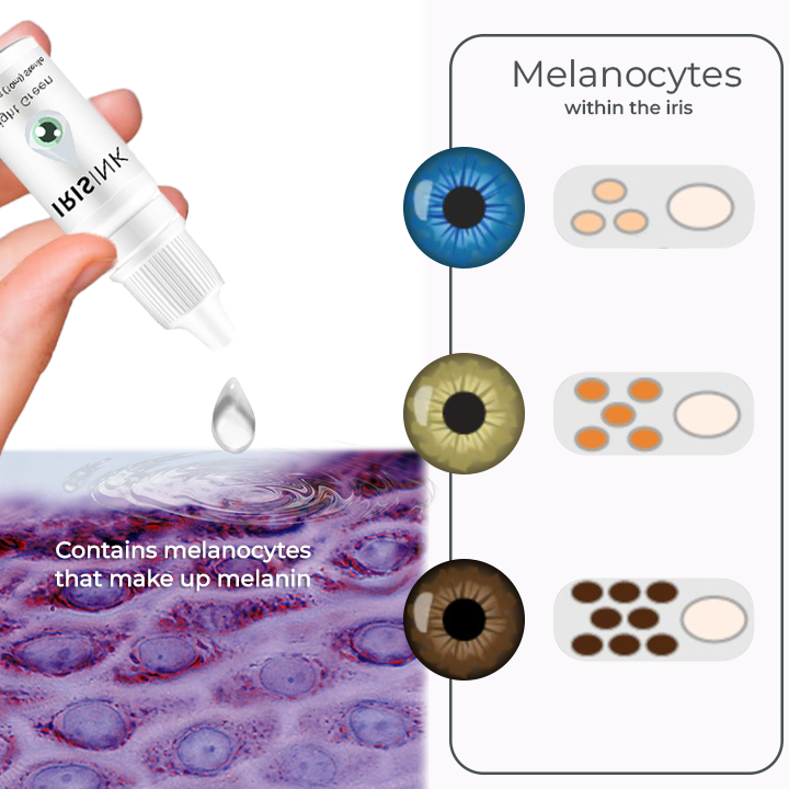 EyeCatcher™ – Augen-Tropfen für irisfarbenen Farbwechsel und strahlende Augen [1 + 1 Gratis]