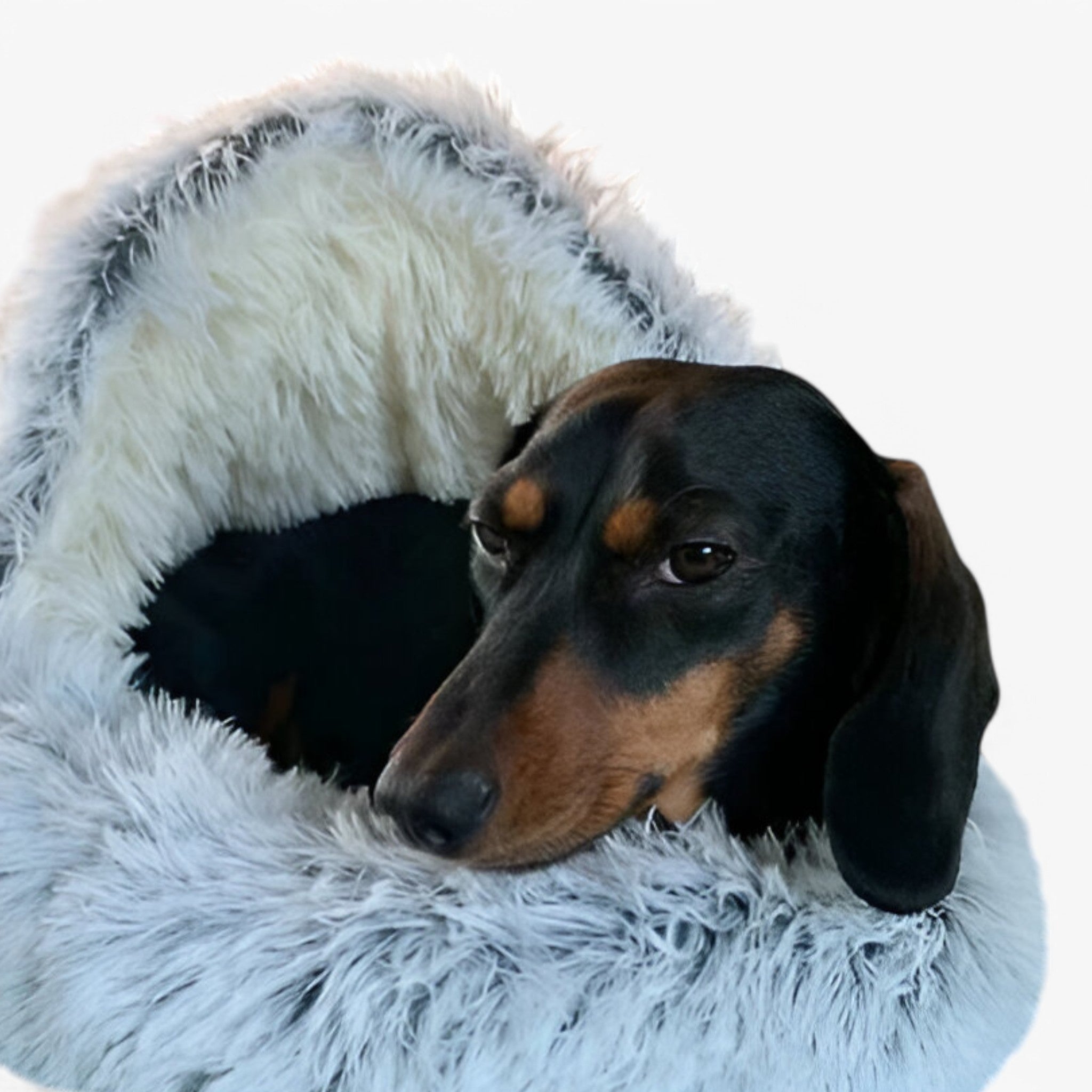 LuxPet Weiches Winter Haustierbett für Hunde & Katzen – Warm, rutschfest & waschbar