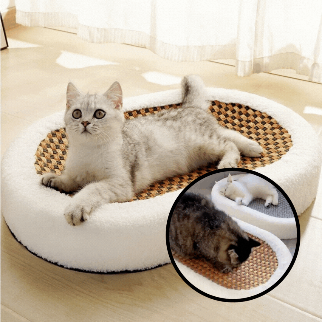 ScratchNest™ – Plüsch-Katzenkorb mit integrierter Kratzfläche für Spielspaß [50% Rabatt]