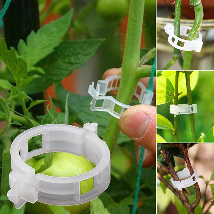 PlantBuddy™ Stängelstabilisatoren für den Garten