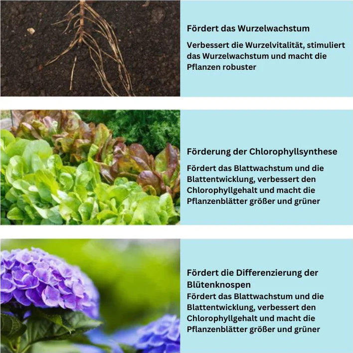 SoilBoost™ Natürlicher Dünger für Pflanzen | 50% RABATT