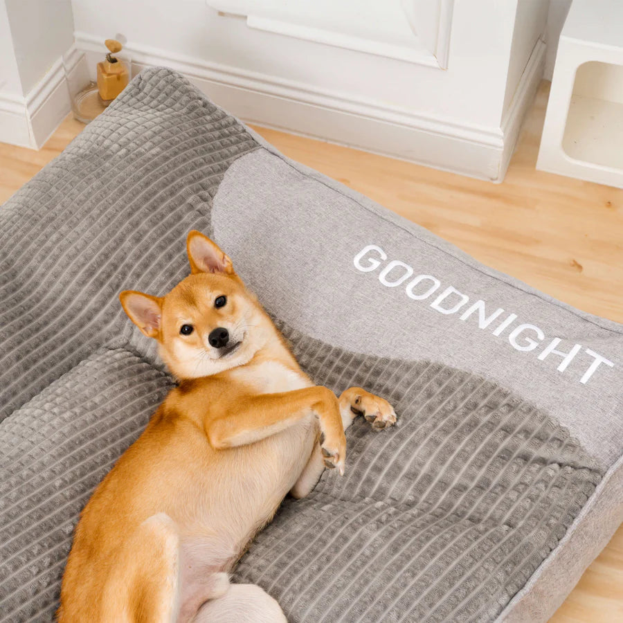 50% Rabatt | GoodNight™ Ultimativer Schlafplatz für Ihren Hund  [Letzter Tag Rabatt]