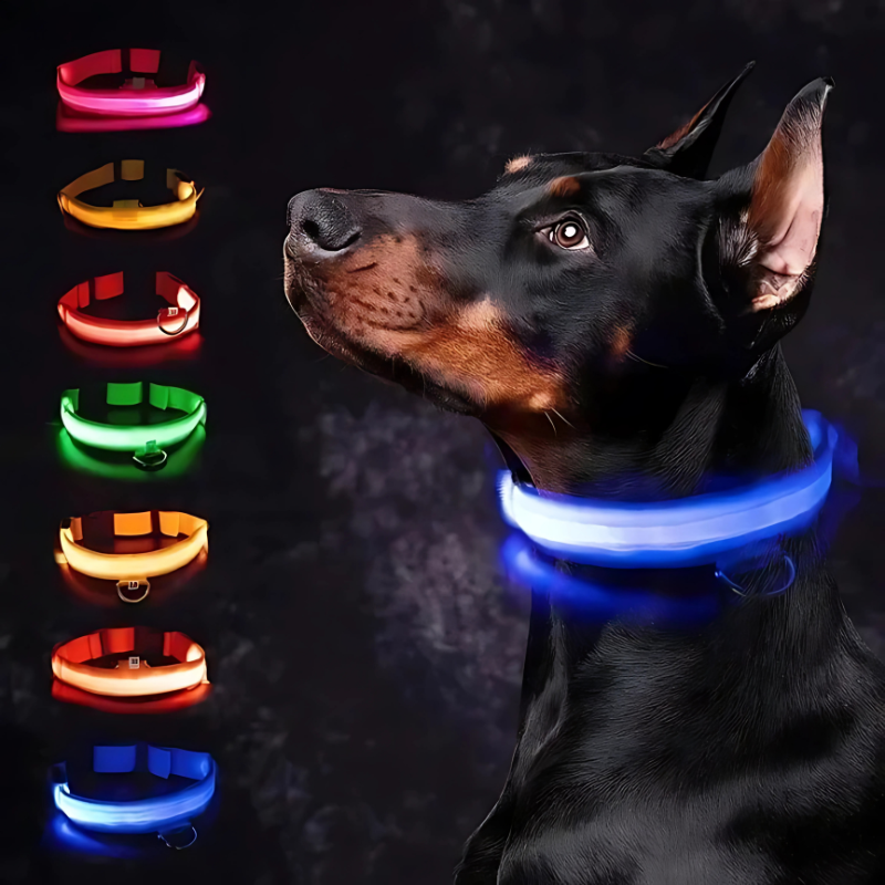 GlowPaw™ – Leuchtendes LED-Hundehalsband für sichere Abendspaziergänge [50% Rabatt]