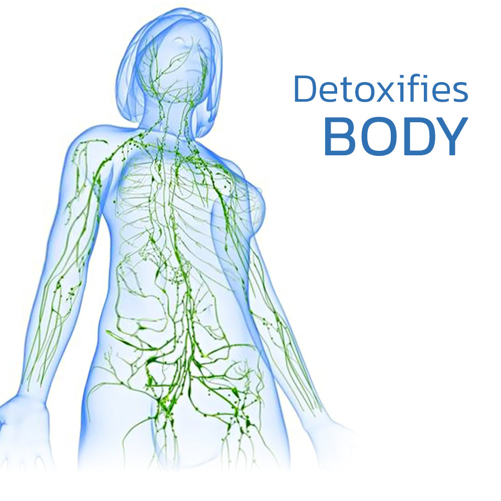 LymhoPulse™ - Behandelt lymphatische Erkrankungen [50% Rabatt]