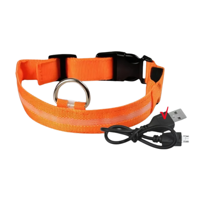GlowPaw™ – Leuchtendes LED-Hundehalsband für sichere Abendspaziergänge [50% Rabatt]