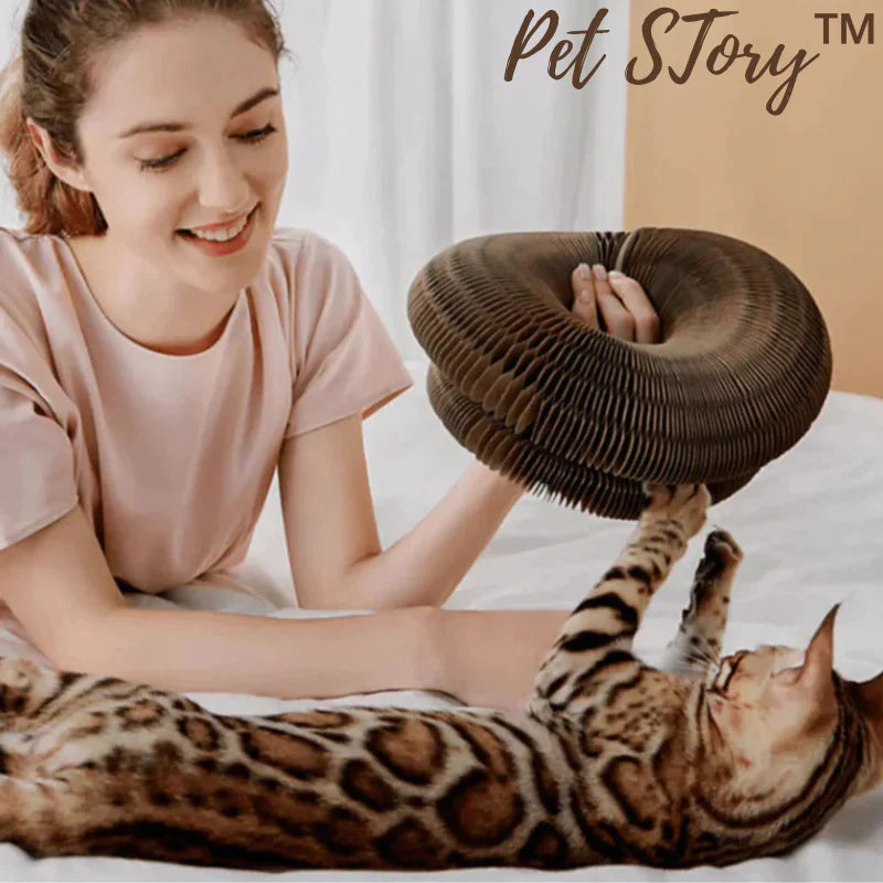 PetStory™ Innofative Katzenspielzeug | 1 + 1 GRATIS