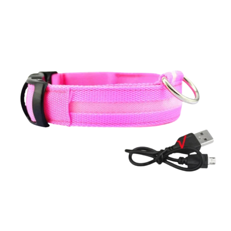 GlowPaw™ – Leuchtendes LED-Hundehalsband für sichere Abendspaziergänge [50% Rabatt]