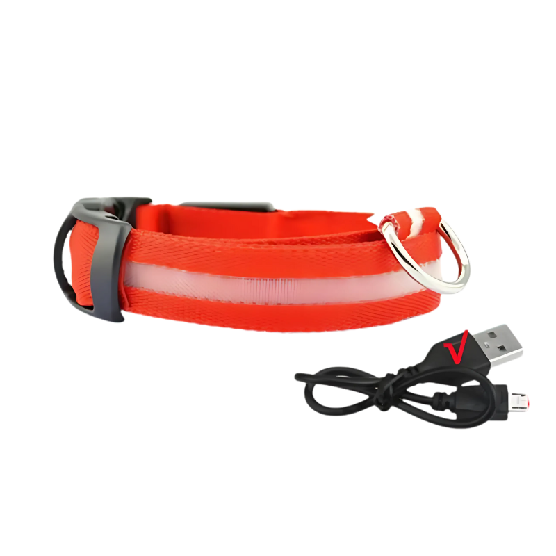 GlowPaw™ – Leuchtendes LED-Hundehalsband für sichere Abendspaziergänge [50% Rabatt]