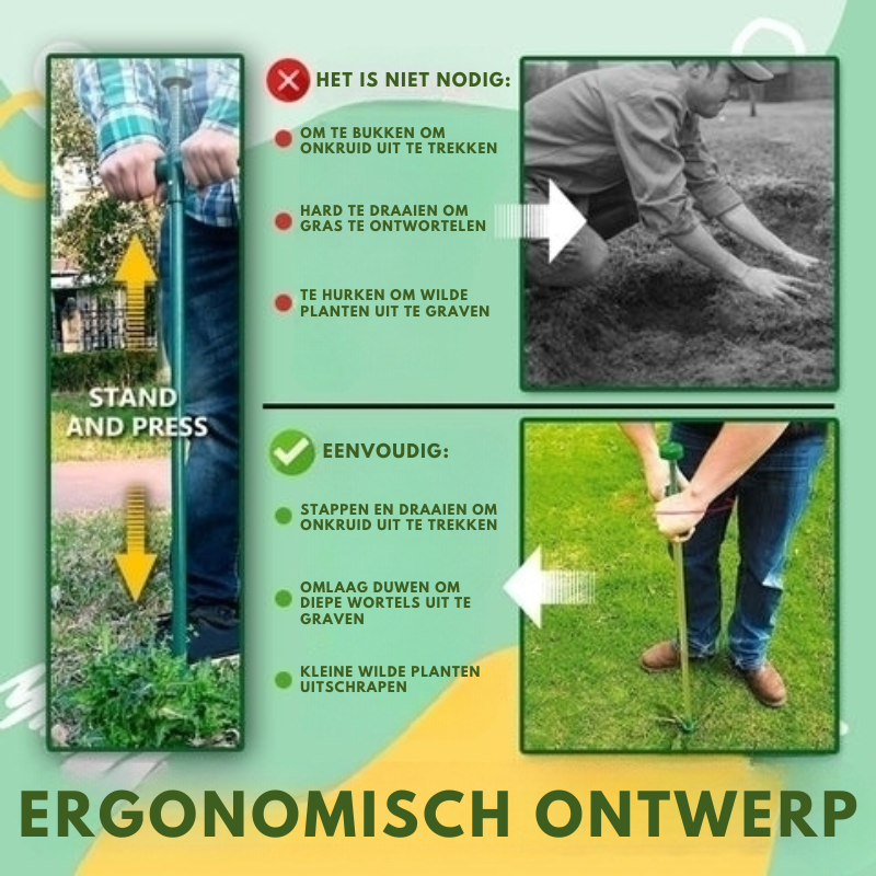 RootVanish™ – Permanenter Wurzelentferner für unerwünschte Pflanzen [50 % Rabatt]