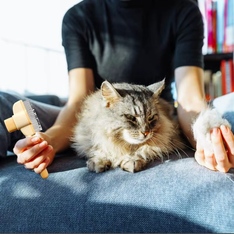 FurFix™ – One-Click Haustierkamm für mühelose Fellpflege [50 % Rabatt]