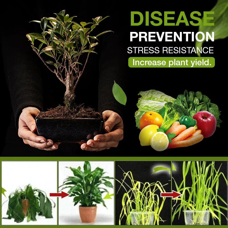 GardenBoost™ – Fruchtbarer Boden für einen blühenden Garten [1 + 1 Gratis]