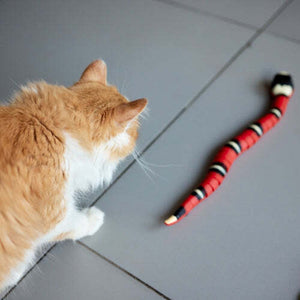 50% Rabatt | SnakeToy™ Intelligentes Spielzeug für Katzen | Letzter Tag Rabatt