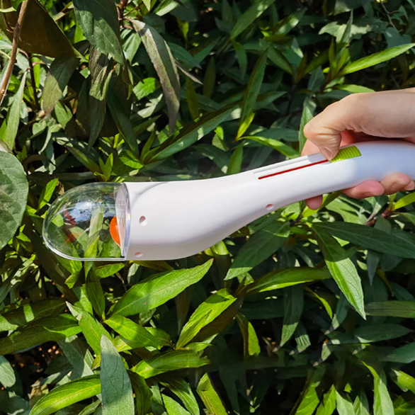 BugWhisper™ – Der sanfte Insektenretter für ein tierfreundliches Zuhause [50 % Rabatt]