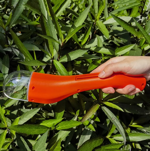 BugWhisper™ – Der sanfte Insektenretter für ein tierfreundliches Zuhause [50 % Rabatt]