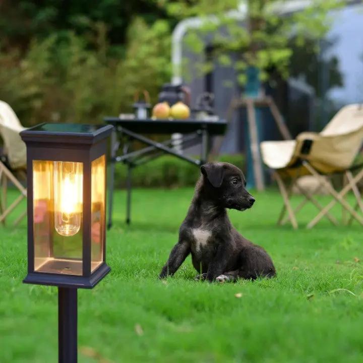 SolarGarden™ – Warmweißes Licht für Wege, Beete & stimmungsvolle Gartenakzente [1 + 1 Gratis]