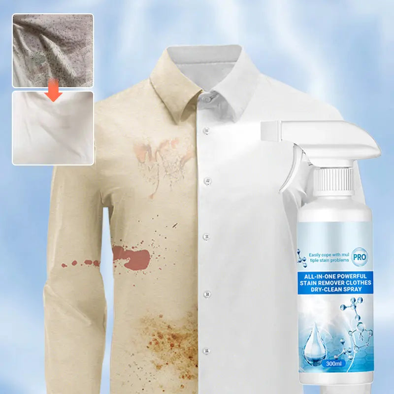 CleanSpray™ - Trockenspray zur Fleckenentfernung – Sanft & Effektiv [1 + 1 Gratis]