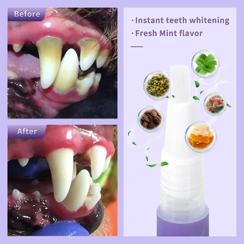 OralGlow™ – Die ultimative Lösung für gesunde Zähne & frischen Atem Ihres Haustiers [1 + 1 Gratis]