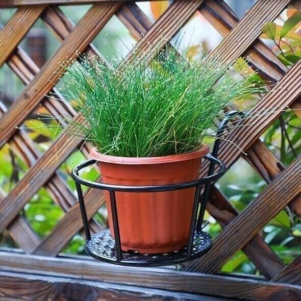 50% Rabatt | PlantBasket™- Hängeblumenständer