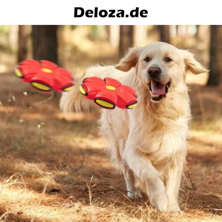 PetFly™ haustierfreundlicher Frisbee-Ball | 1 + 1 GRATIS