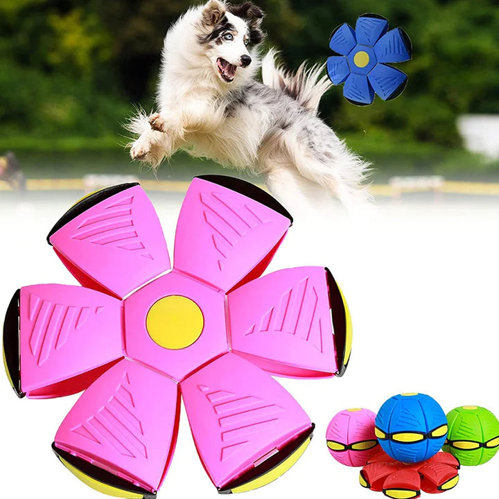 PetFly™ haustierfreundlicher Frisbee-Ball | 1 + 1 GRATIS