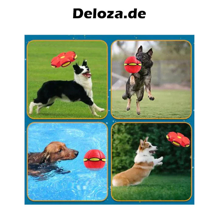 PetFly™ haustierfreundlicher Frisbee-Ball | 1 + 1 GRATIS