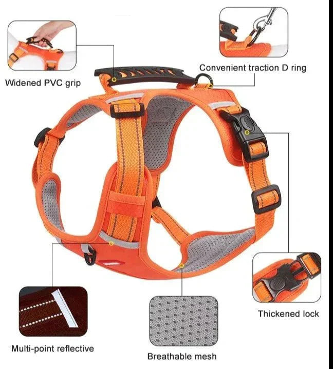 50% Rabatt | DogGrip™ - Führen Sie Ihren Hund sicher spazieren